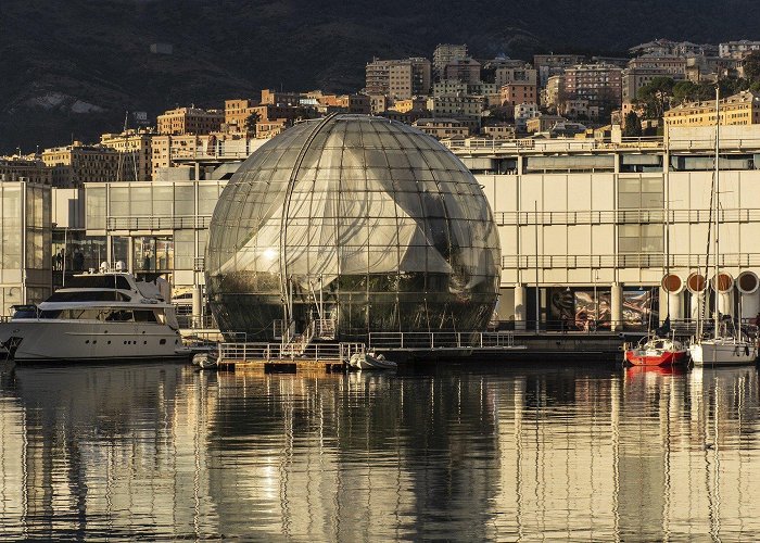 Genova aquarium Aquarium of Genoa: everything you need to know - DEB BLOG photo