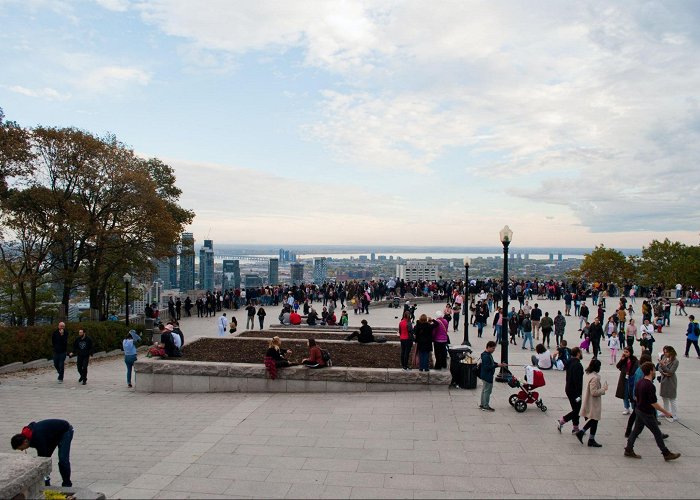 Mount Royal Park Things to Know Before Visiting the Montreal's Mount Royal Lookout ... photo