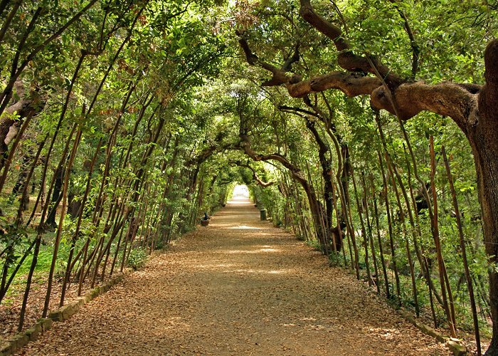 Boboli Garden 5 secrets of the Boboli Gardens | Visit Tuscany photo