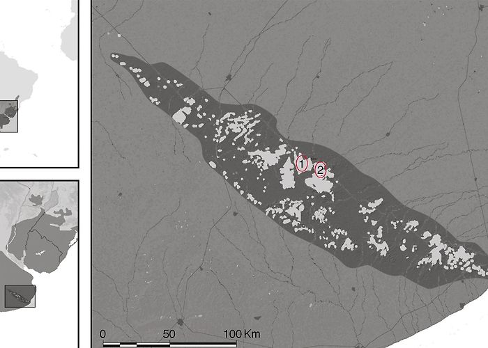 Sierra del Tigre Natural Reserve First record of Batrachochytrium dendrobatidis infecting ... photo