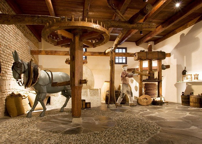The Olive Oil Museum Bardolino olive oil museum photo