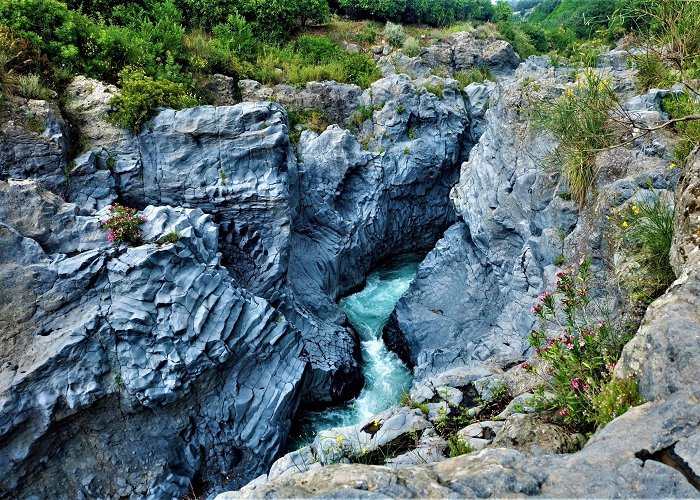 Gole dell'Alcantara Gole Alcantara Botanical and Geological Park Tours - Book Now ... photo