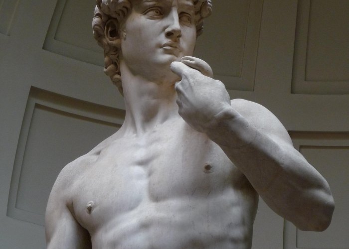 David of Michelangelo A Florence Museum Won Its Lawsuit Against a Publisher That Used a ... photo