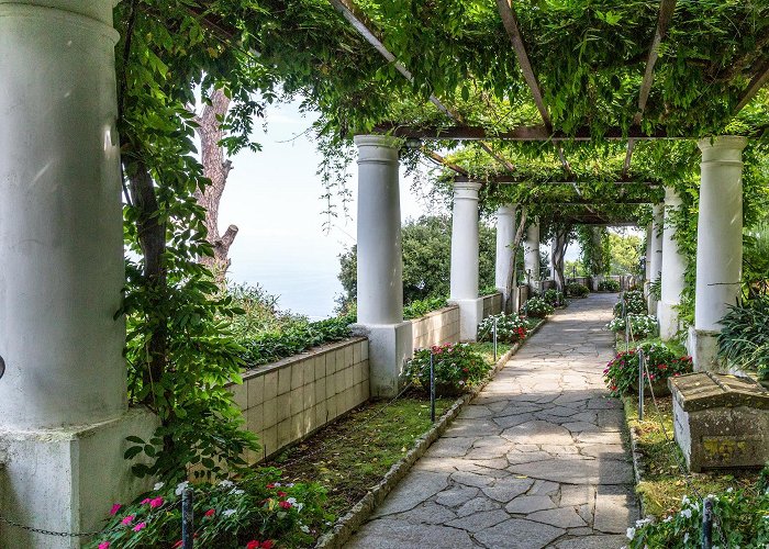 Axel Munthe House Villa San Michele - The Garden photo