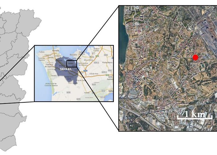 Almada Forum Shopping Center Atmosphere | Free Full-Text | The Impact of COVID-19 Confinement ... photo