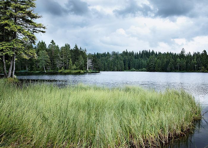 Étang de la Gruère Etang de la Gruère, La Theurre / Saignelégier | Jura Tourism (CH ... photo