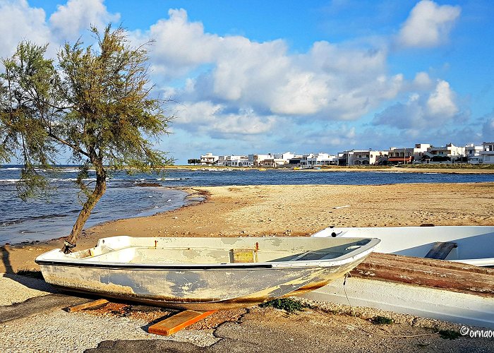 Torre Guaceto Reserve Puglia: When the Wind Blows | Orna O'Reilly: Travelling Italy photo