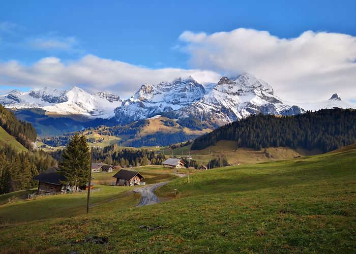 Aebi-Sillerenbühl Sillerenbühl - Aebi - Adelboden • Wandern » outdooractive.com photo