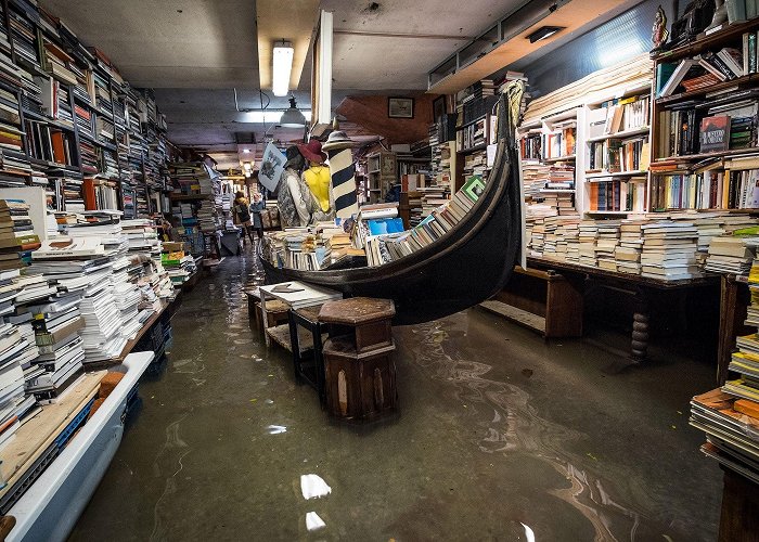 Libraria Aqua Alta Venice's flooding has become another tourist attraction. photo