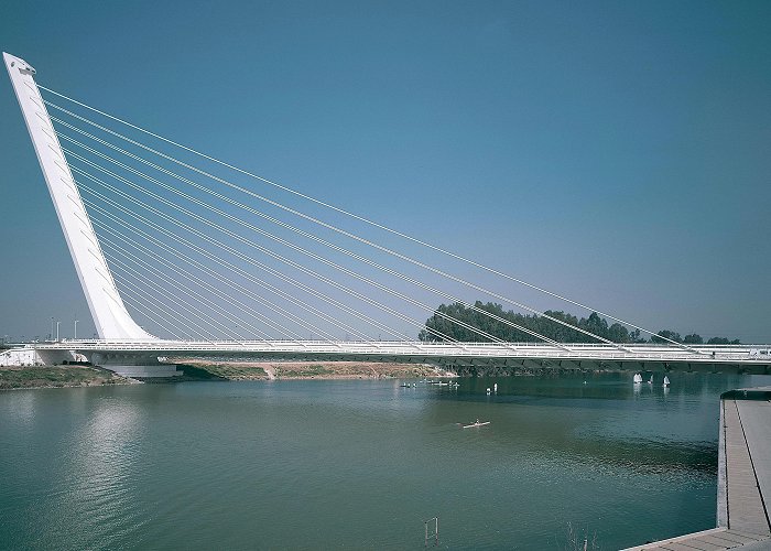 Puente de Alamillo Alamillo Bridge, Seville - Santiago Calatrava | Arquitectura Viva photo
