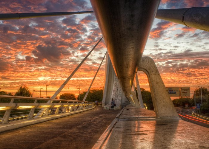 Puente de Alamillo El Alamillo Bridge in Seville: 17 reviews and 40 photos photo