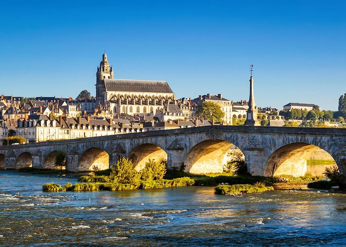 Cathedral of St. Louis of Blois St. Louis Cathedral Tours - Book Now | Expedia photo
