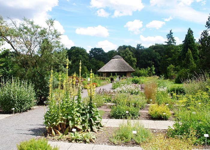 Dresden Botanical Garden Botanical Garden Dresden | Euroregion Elbe/Labe photo