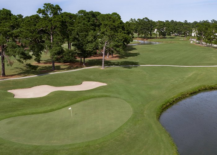 PineHills Palmetto at Myrtlewood Golf Club Myrtlewood Palmetto Golf Course – Myrtle Beach World Amateur ... photo