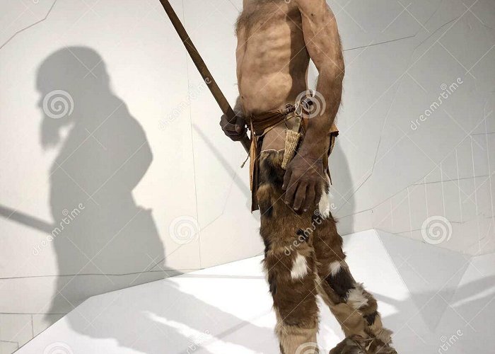 South Tyrol Museum of Archaeology Ã–tzi the Iceman, Bolzano, Italy Editorial Stock Image - Image of ... photo