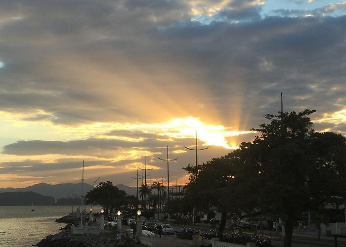 Botanical Garden Chico Mendes Things to Do in Santos in 2024 | Expedia photo