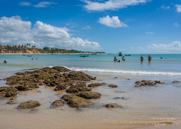 Benjamim Maranhao Botanical Garden Paraíba, Brazil Vacation Rentals: house rentals & more | Vrbo photo