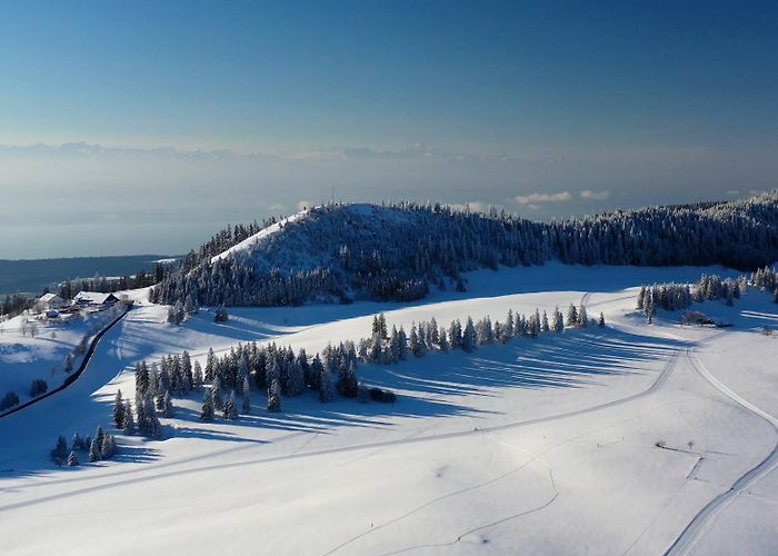 Tete de Ran Les Neigeux, La Vue-des-Alpes - La Vue-des-Alpes | Neuchatel ... photo