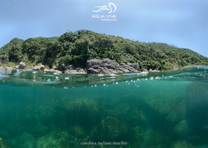 Lagoon Beach Ilha do Arvoredo - Parcel do Engenho dive site | PADI photo