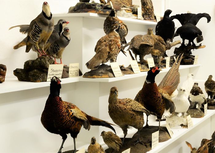 Museum Stemmler Museum Stemmler • Culture » outdooractive.com photo