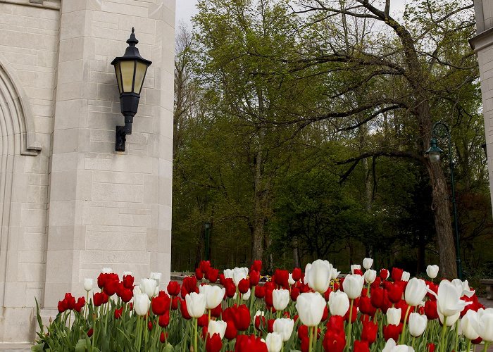 Indiana University Bloomington IU Bloomington ranks highly among Best Global Universities: Arts + ... photo