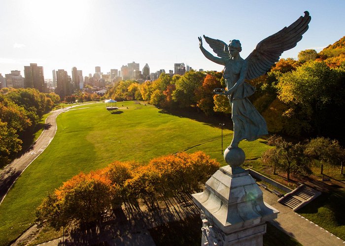 Parc de Kent Parc du Mont-Royal, Montréal, Qc, Canada - Drone Photography photo