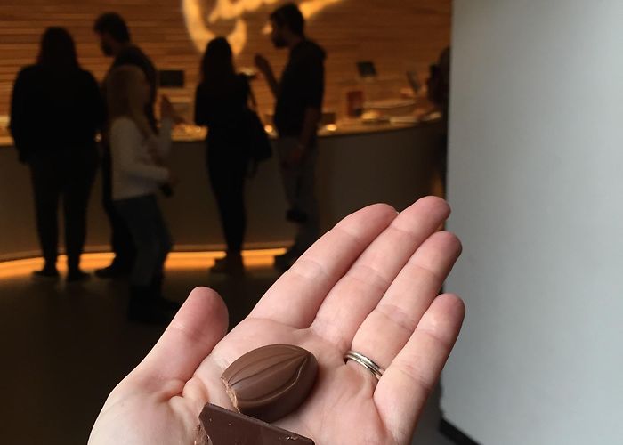 Maison Cailler Swiss Chocolate Factory Maison Cailler Swiss Chocolate Factory Tours - Book Now | Expedia photo