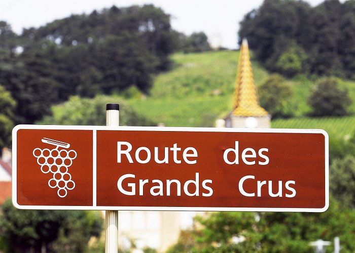 Marche aux Vins 6 Wine Routes to explore | La Bourgogne photo