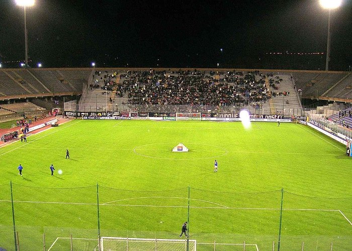 Stadio Sant'Elia 18 Astonishing Facts About Stadio Sant'Elia - Facts.net photo