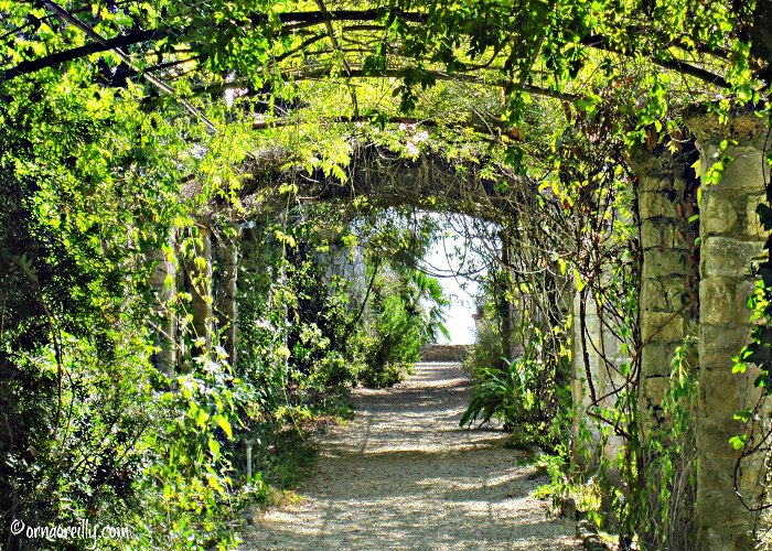 Hanbury Botanic Gardens Giardini Botanici Hanbury Hanbury Botanical Gardens | Orna O'Reilly: Travelling Italy photo