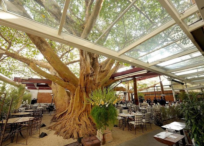 A Figueira Rubaiyat A Figueira Rubaiyat photo