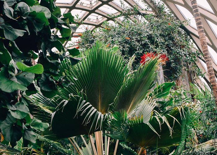 Denver Botanic Gardens Explore the Oasis of the Denver Botanic Gardens | ParkMobile photo