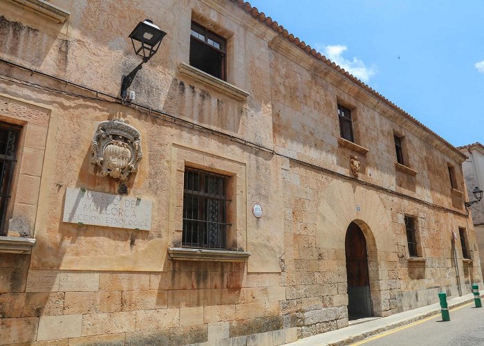 Museo Etnologic de Muro Cultura comprará una casa junto al Museu de Muro para poder reformarlo photo