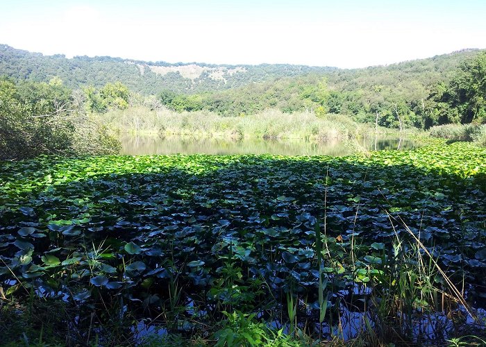 Astroni's Crater Nature Reserve Things to Do in Pozzuoli in 2024 | Expedia photo