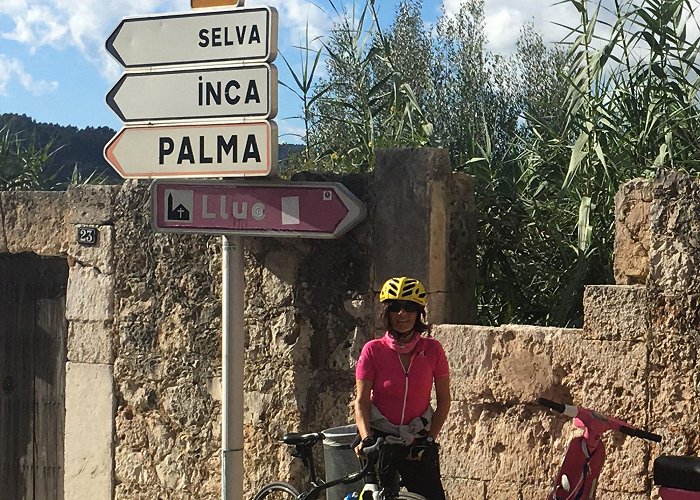 Chamber of Commerce Mallorca Mallorca Island by bike: Palma, Soller, Serra Tramuntana | Cicloposse photo
