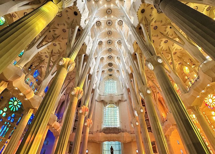 La Sagrada Familia Inside of La Sagrada Familia in Barcelona : r/Damnthatsinteresting photo