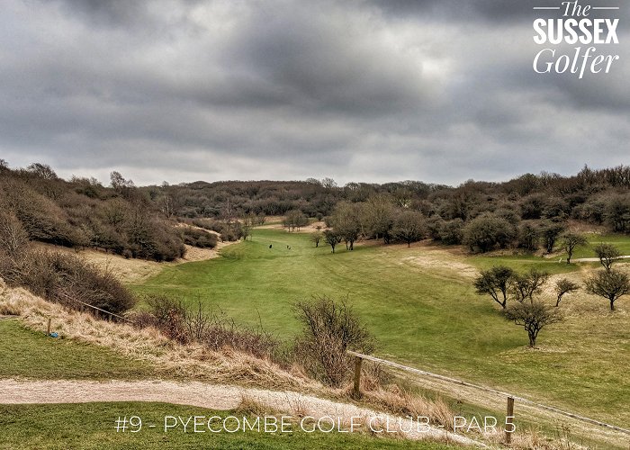Pyecombe Golf Club Top 10s – The Sussex Golfer photo
