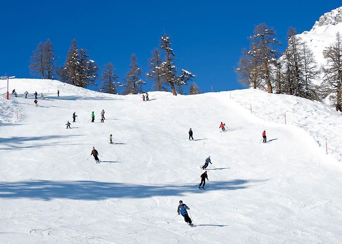 Tele Jorasse Ovronnaz | Switzerland Tourism photo