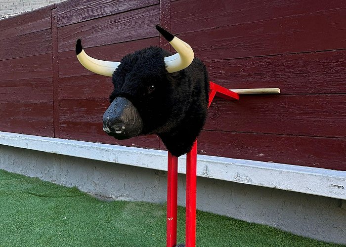 Bullring Pontevedra ▷ Children's Training Cart with Bull Head | Toroshopping photo