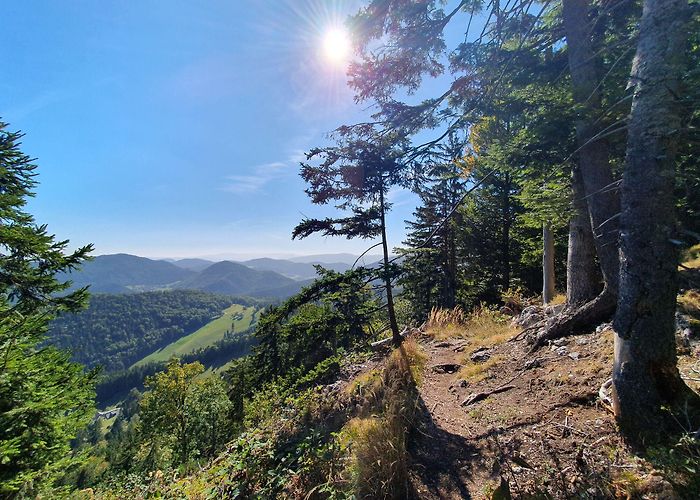 Gauermann Museum Gauermann-Rundtour über zwei Kämme - BERGFEX - Hiking - Tour Lower ... photo