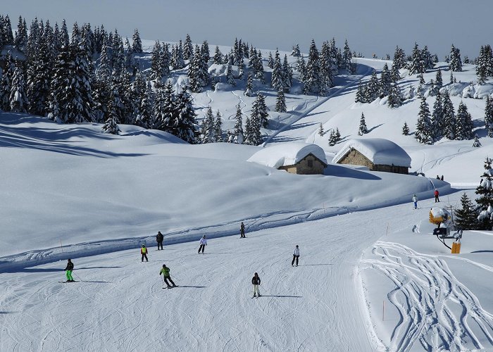 Fondo Piccolo-Plaut Alpe Cimbra: Folgaria - Lavarone, Ski resort photo