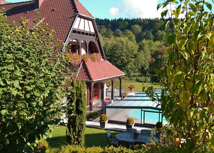 Naturschutzgebiet Taubergiessen Ebersmunster Vacation Rentals, Grand Est: house rentals & more | Vrbo photo