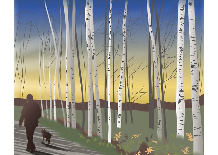 Stony Plain and District Pioneer Tri-Region Art Illustrations - Brickbubble photo