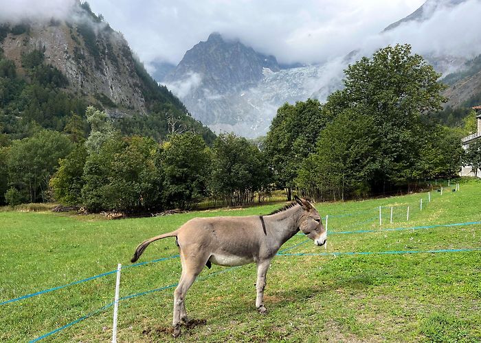 Maison Vieille Tour du Mont Blanc Clockwise Itinerary — Moore Misadventures photo