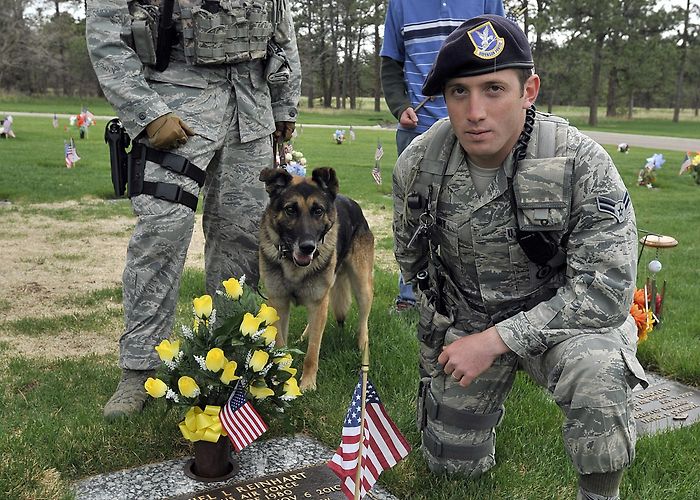 Mendoza Cemetery DVIDS - Images - US Air Force Academy: Flag placement at cemetery ... photo