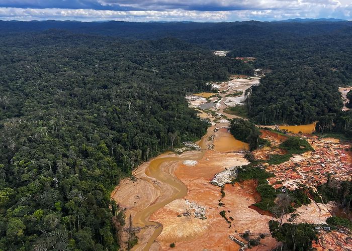 Temperate Rainforest Field Study Centre Brazil cracks down on illegal miners in Amazon's Indigenous land ... photo