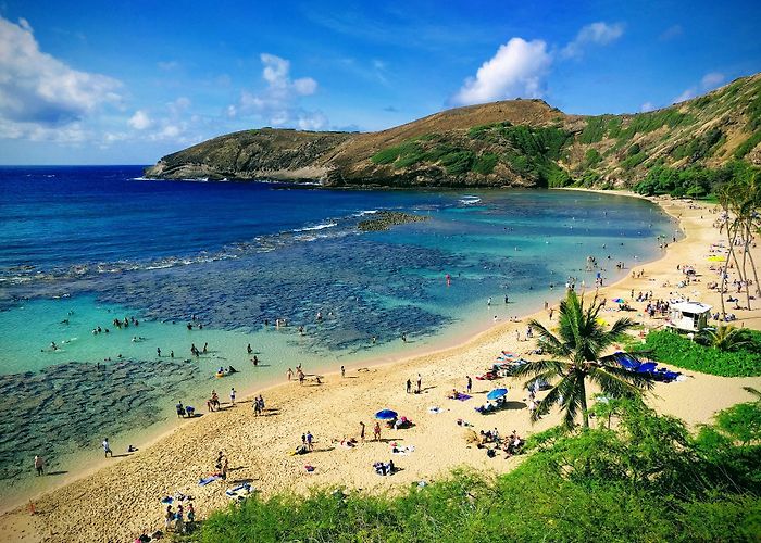Honolulu photo