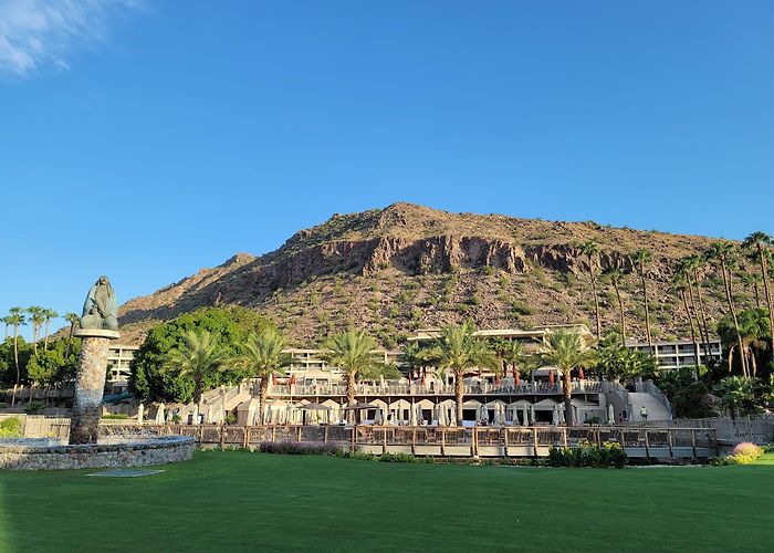 Phoenix photo