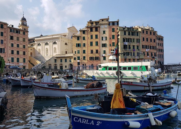 Camogli photo