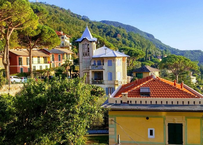 Camogli photo